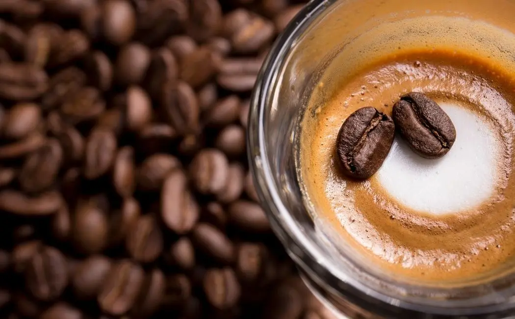 Kawa Kimba – co w niej wyjątkowego?