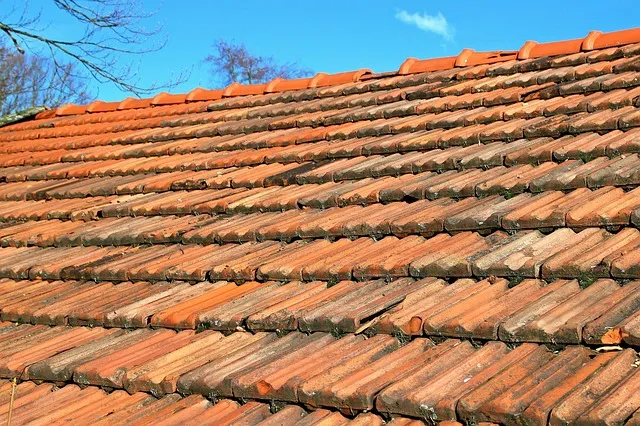 Jak wydłużyć żywotność dachu dzięki odpowiedniej renowacji?