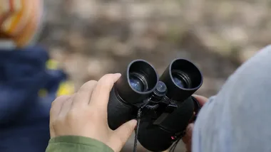 Cztery spotkania o ptakach Doliny Wisły. Włocławek stawia na twórczą ekologię