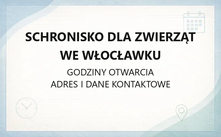 Schronisko dla Zwierząt we Włocławku - kontakt, adopcja, wolontariat i pomoc