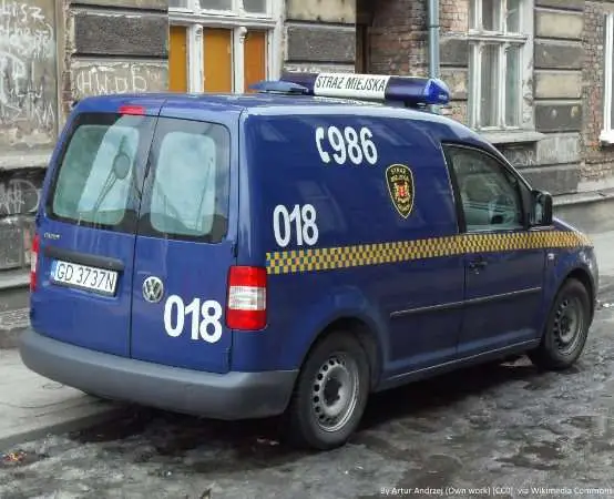 Używanie fajerwerków - ryzyko trwałych obrażeń i stresu u zwierząt