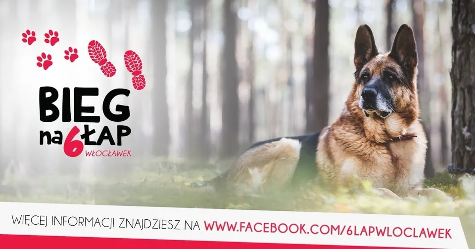 Grafika promocyjna wydarzenia Bieg na 6 Łap