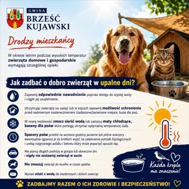 Upał uderza w zwierzęta. Tych zasad nie wolno lekceważyć