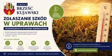 Wysokie temperatury uszkodziły uprawy. Rolnicy mogą zgłaszać szkody