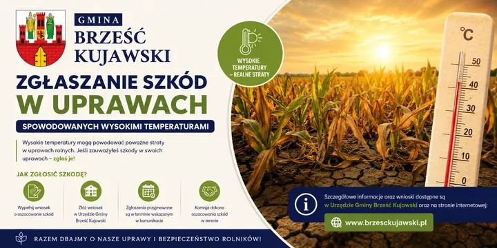 Wysokie temperatury uszkodziły uprawy. Rolnicy mogą zgłaszać szkody