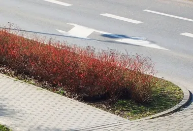 Wiosenne porządki we Włocławku – służby usuwają sól i piasek z ulic