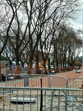 Śródmieście zyskuje nowy rytm, a ulice zmieniają się w zielony korytarz