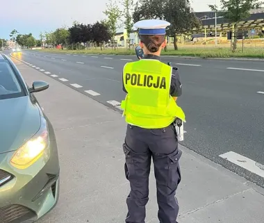 Sarna wbiegła pod motocykl we Włocławku. 19 zdarzeń na drogach