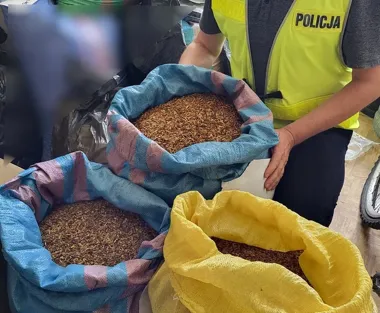 Kontrola drogowa we Włocławku ujawniła więcej. Policja zabezpieczyła tytoń