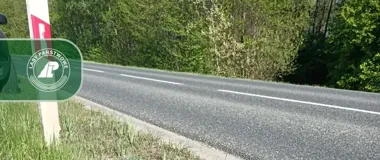 Potrącenie dzikiego zwierzęcia. Po kolizji trzeba zadzwonić pod 112